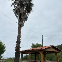Foto de los exteriores 5