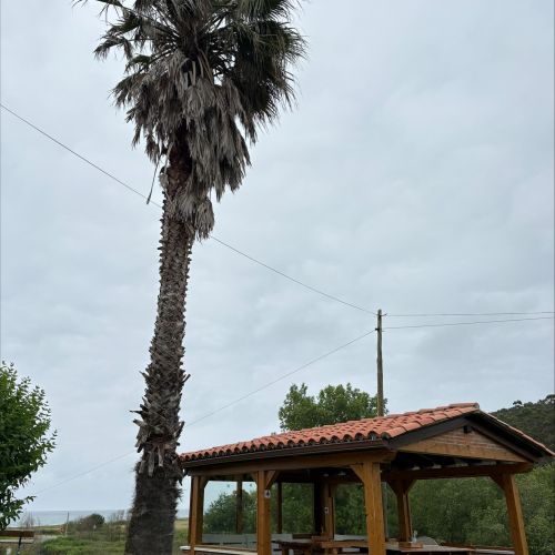 Foto de los exteriores 5