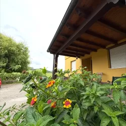 Imagen del exterior del alojamiento rural